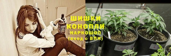 ПСИЛОЦИБИНОВЫЕ ГРИБЫ Алзамай