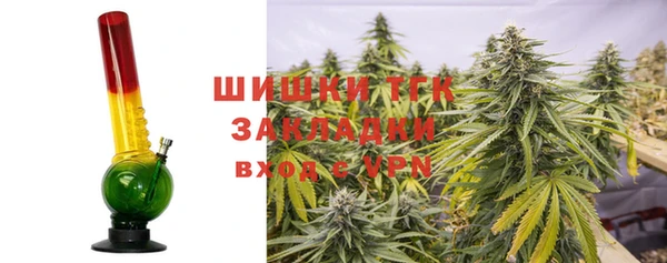 сатива Алексеевка
