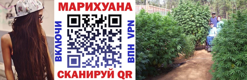 Бошки марихуана OG Kush  Томари 